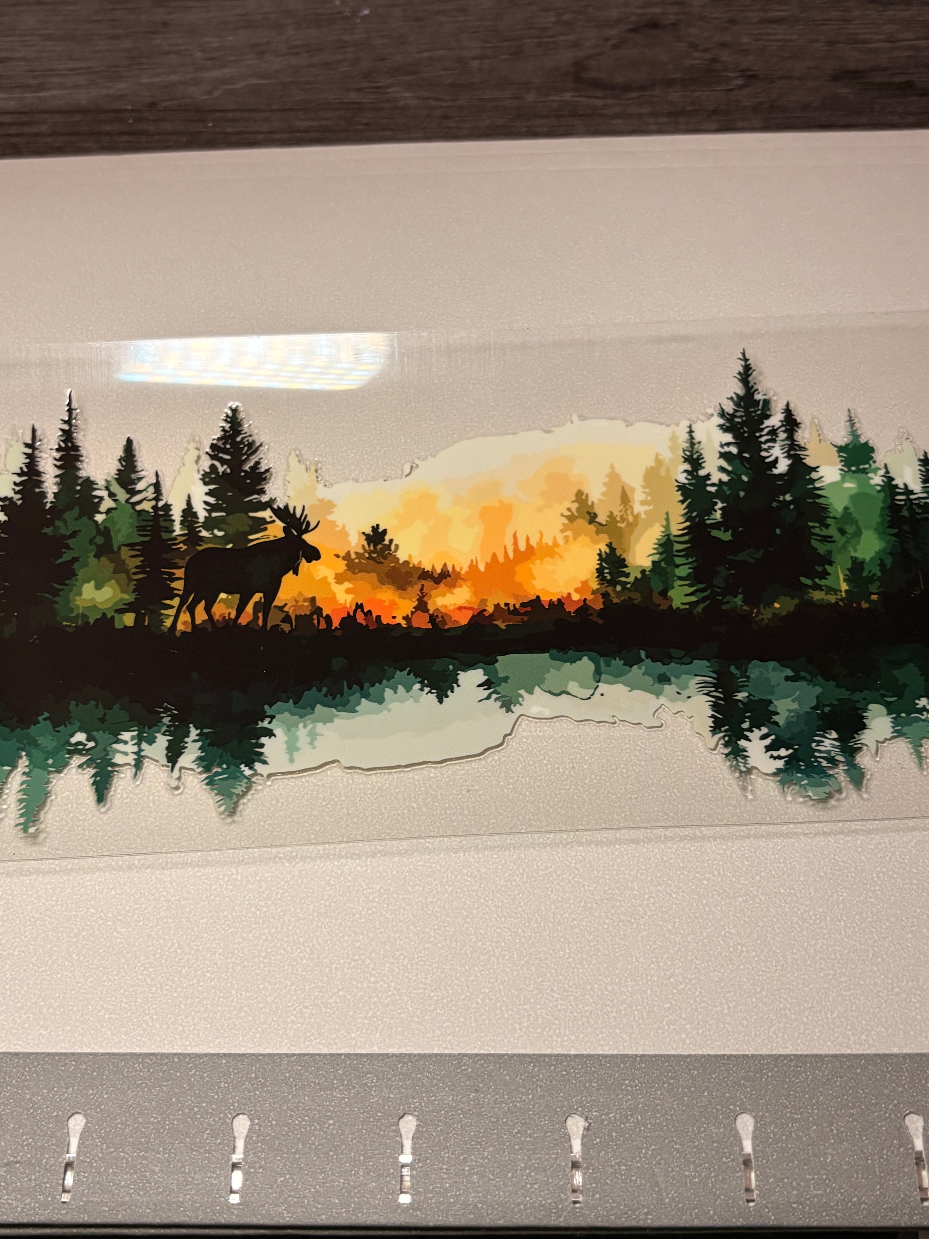 🐮🐷🐸🦋🕷️🪼wraps