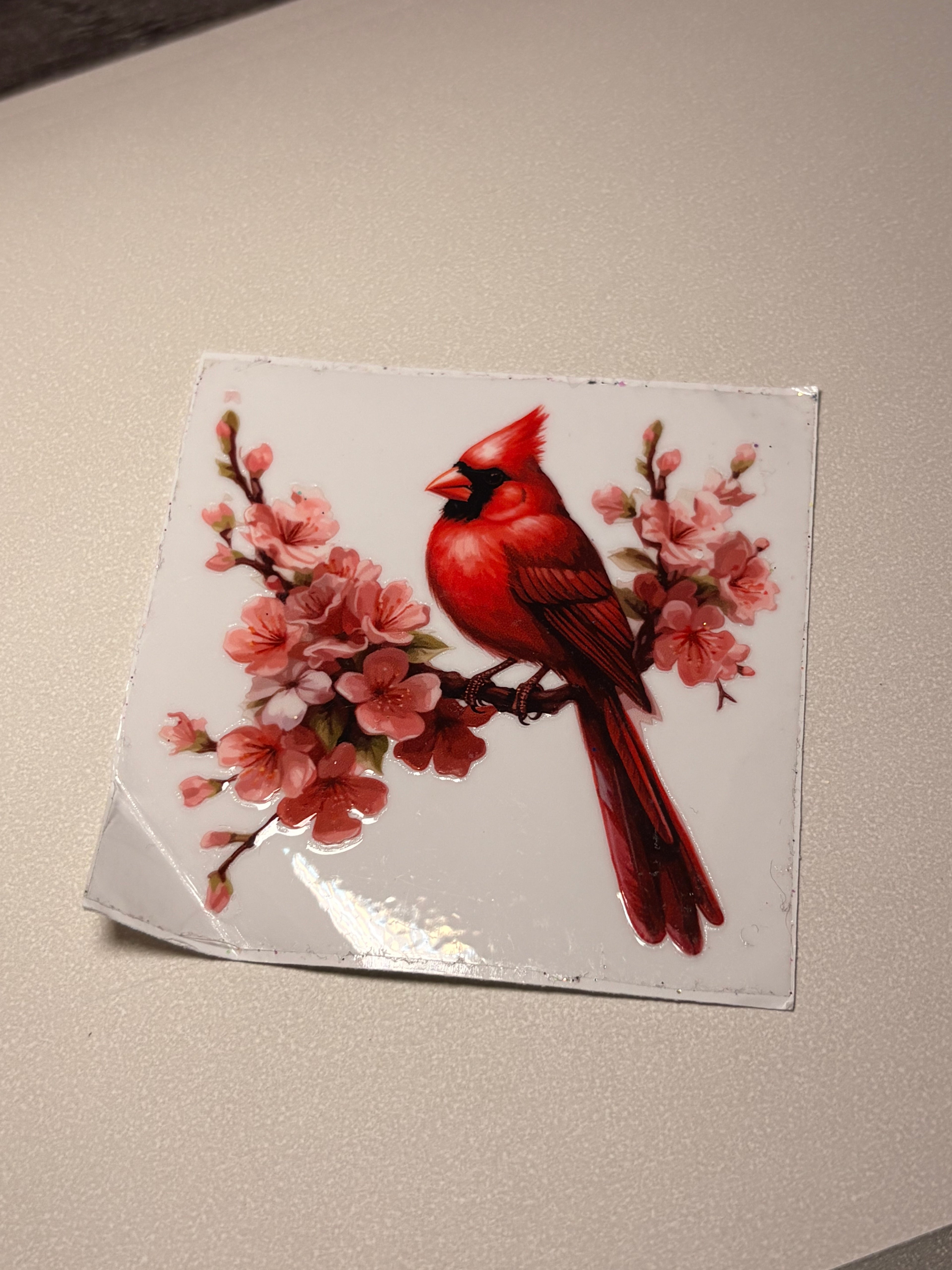 🐮🐷🐸🦋🕷️🪼wraps