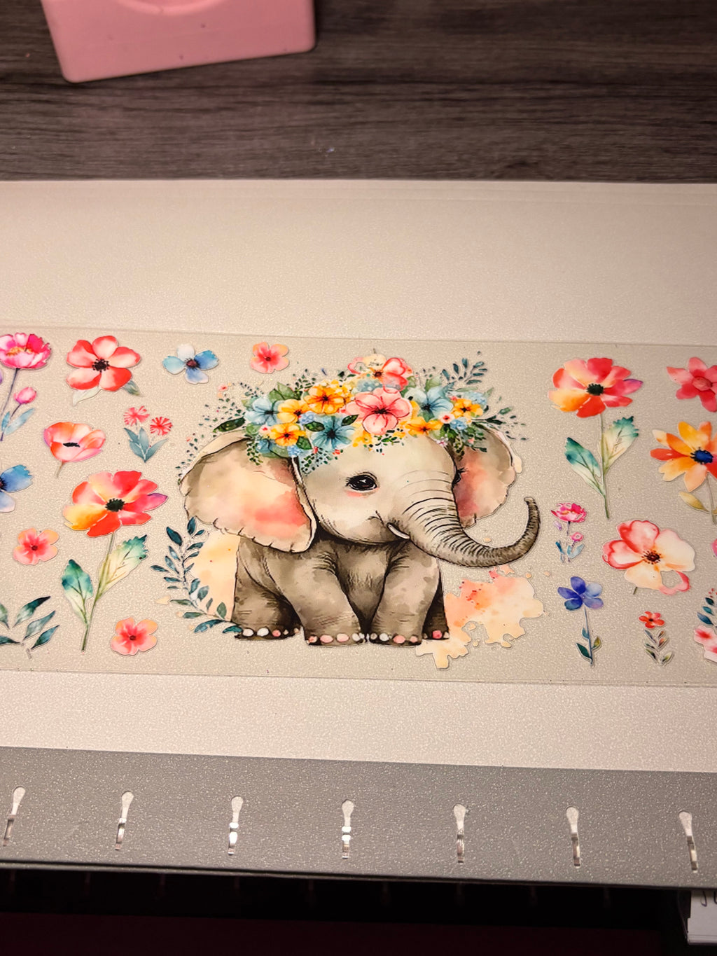 Animal/insect wraps