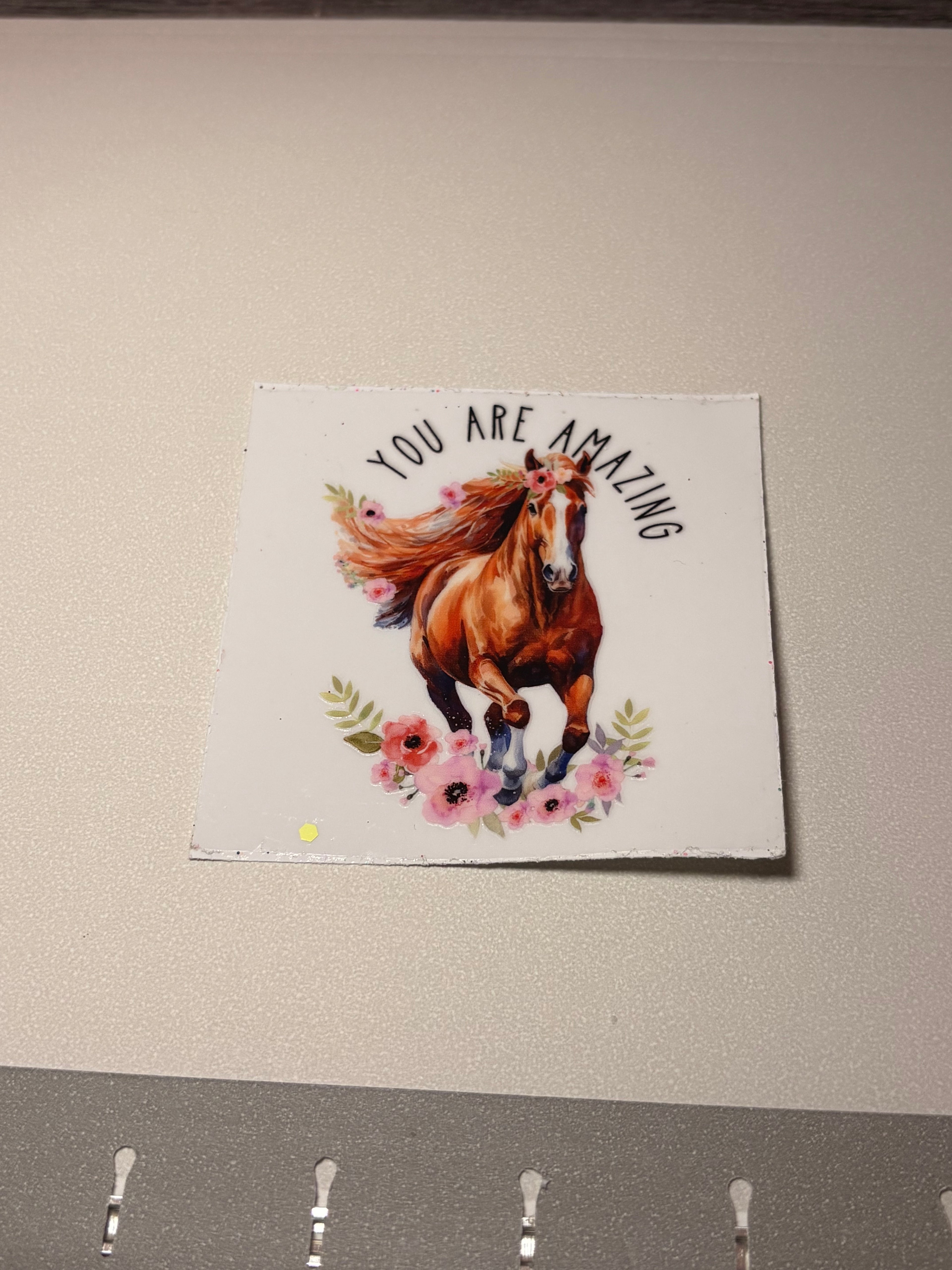 🐮🐷🐸🦋🕷️🪼wraps