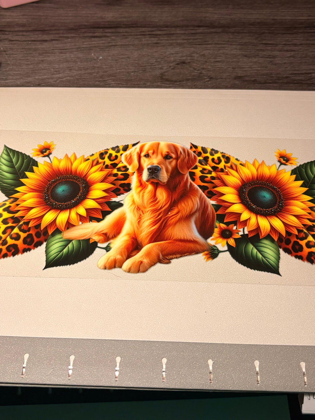 Animal/insect wraps
