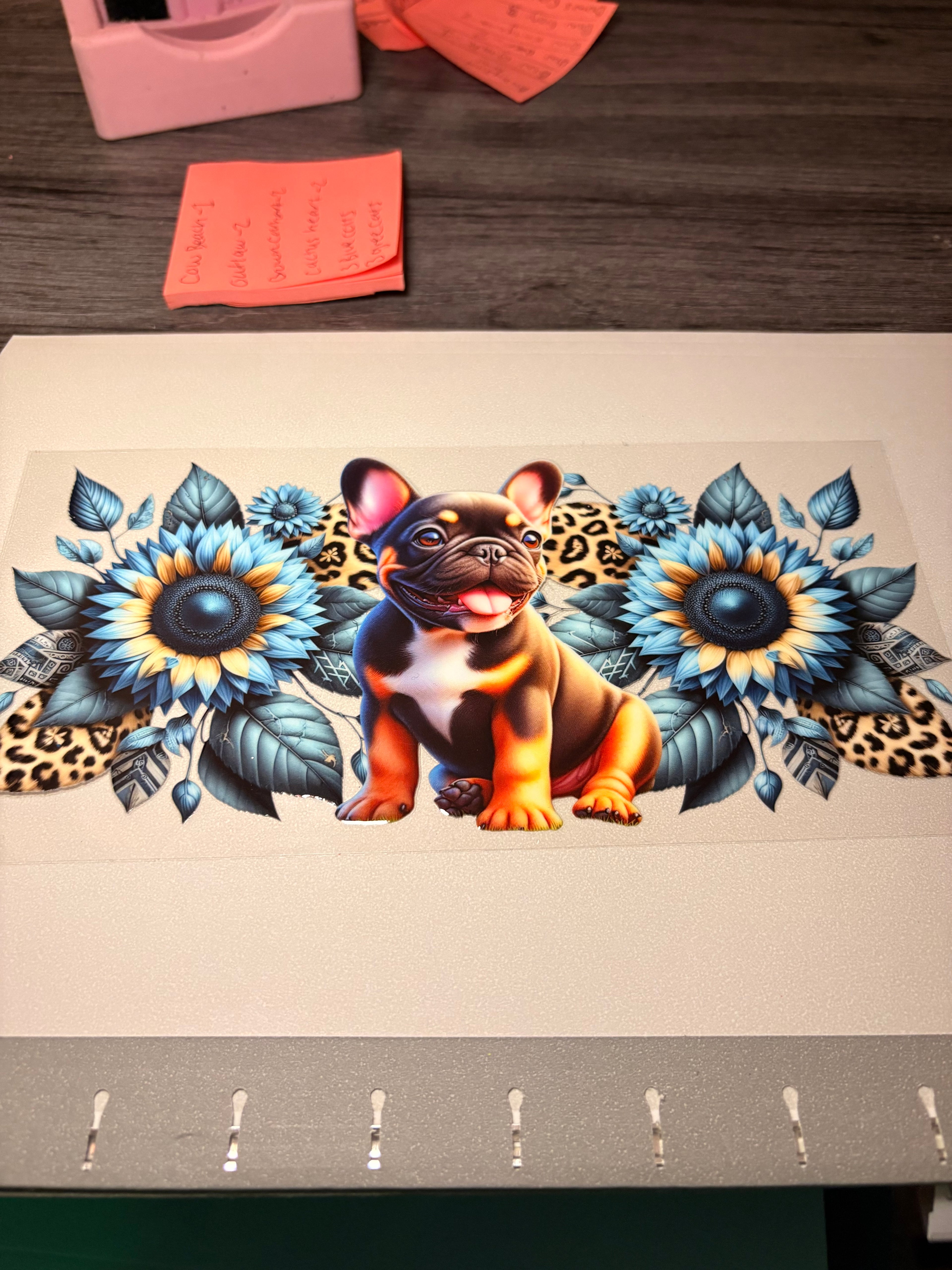 🐮🐷🐸🦋🕷️🪼wraps