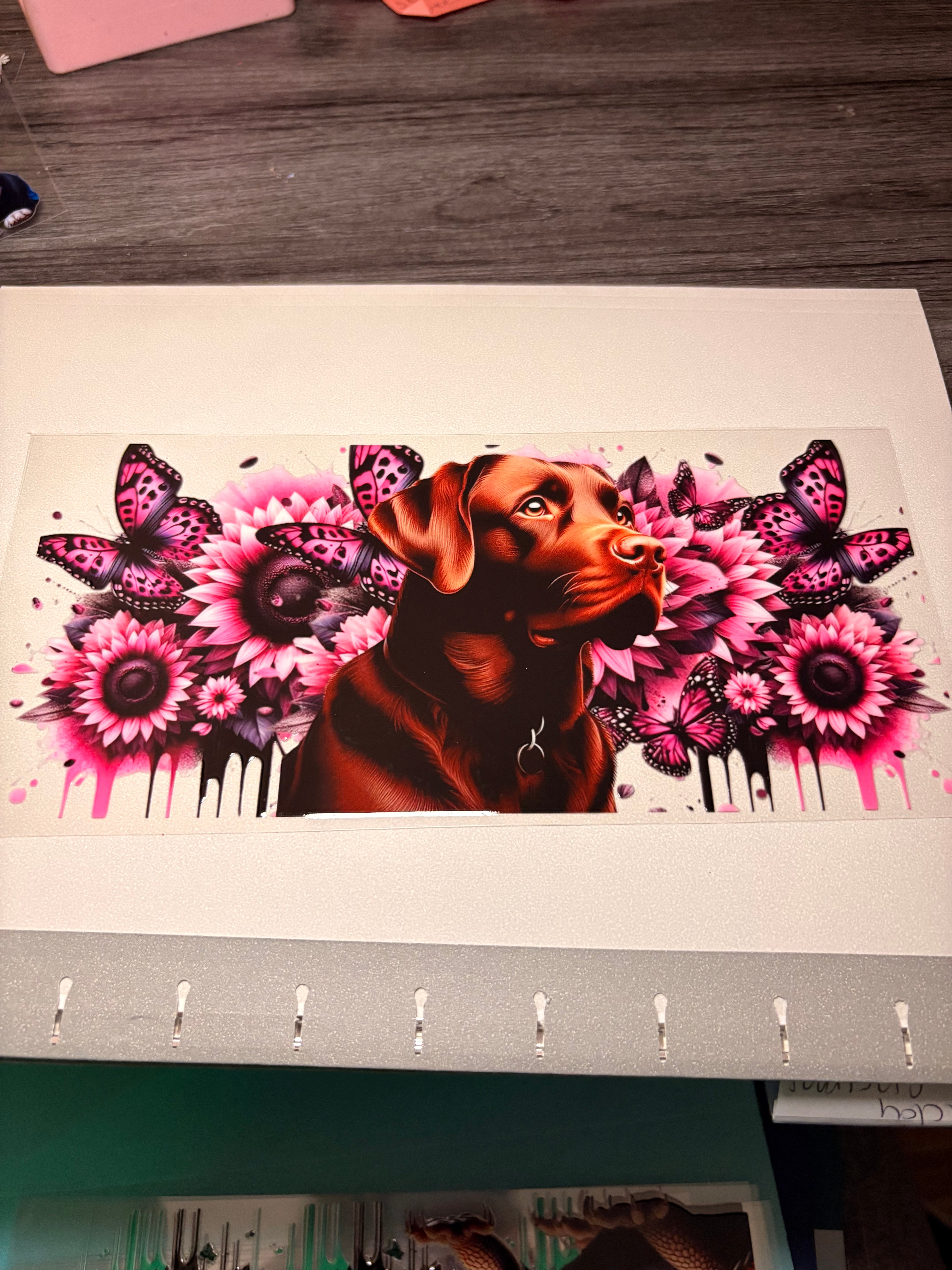 🐮🐷🐸🦋🕷️🪼wraps