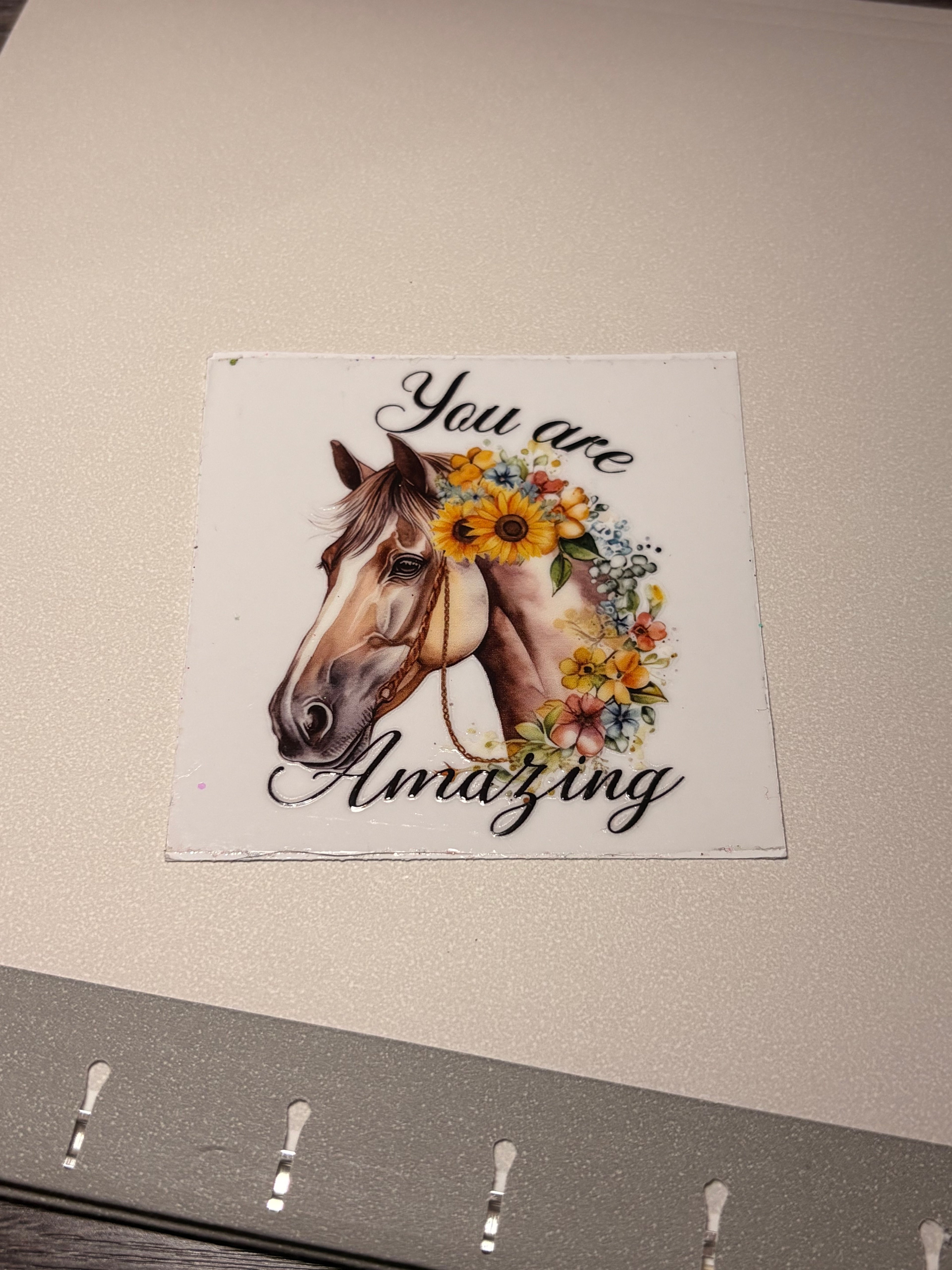 🐮🐷🐸🦋🕷️🪼wraps