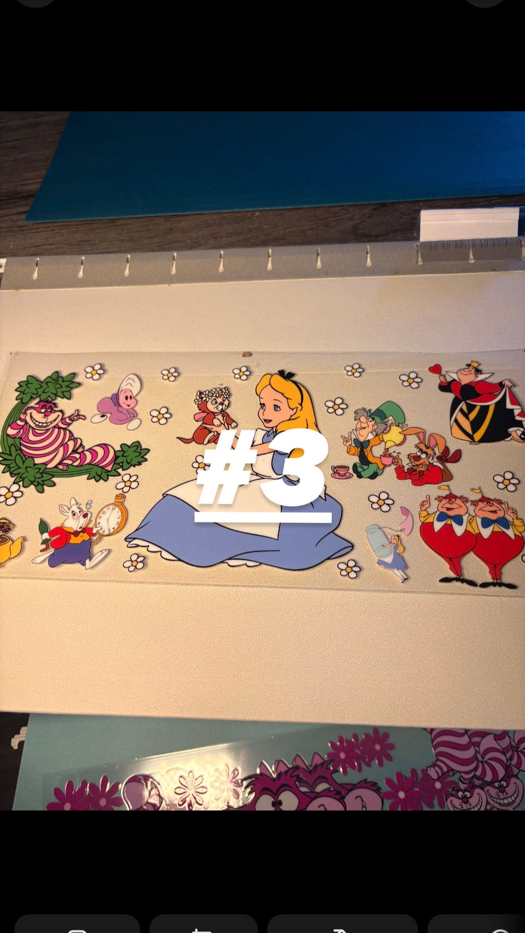 🐭Dis…ny wraps