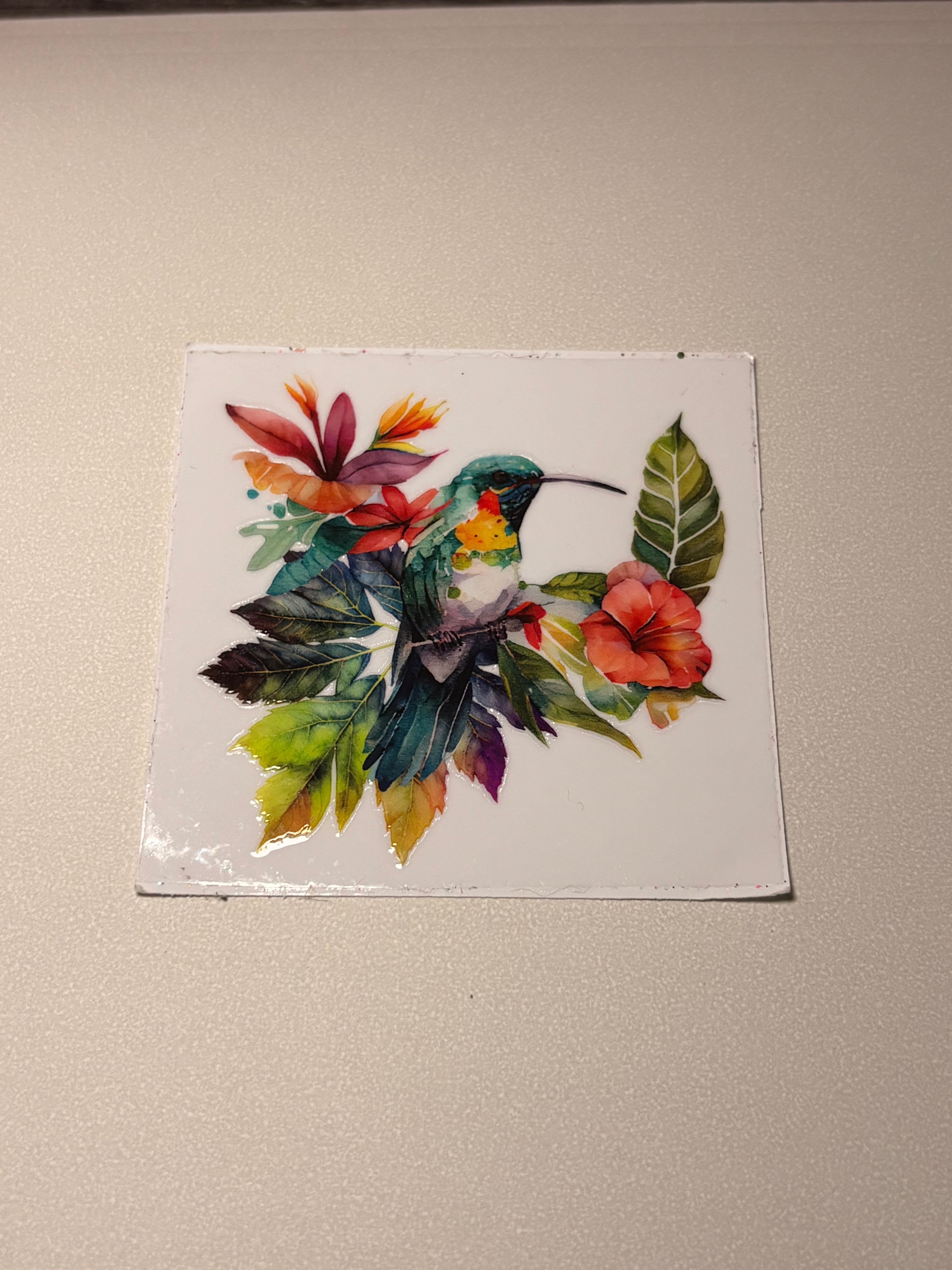 🐮🐷🐸🦋🕷️🪼wraps