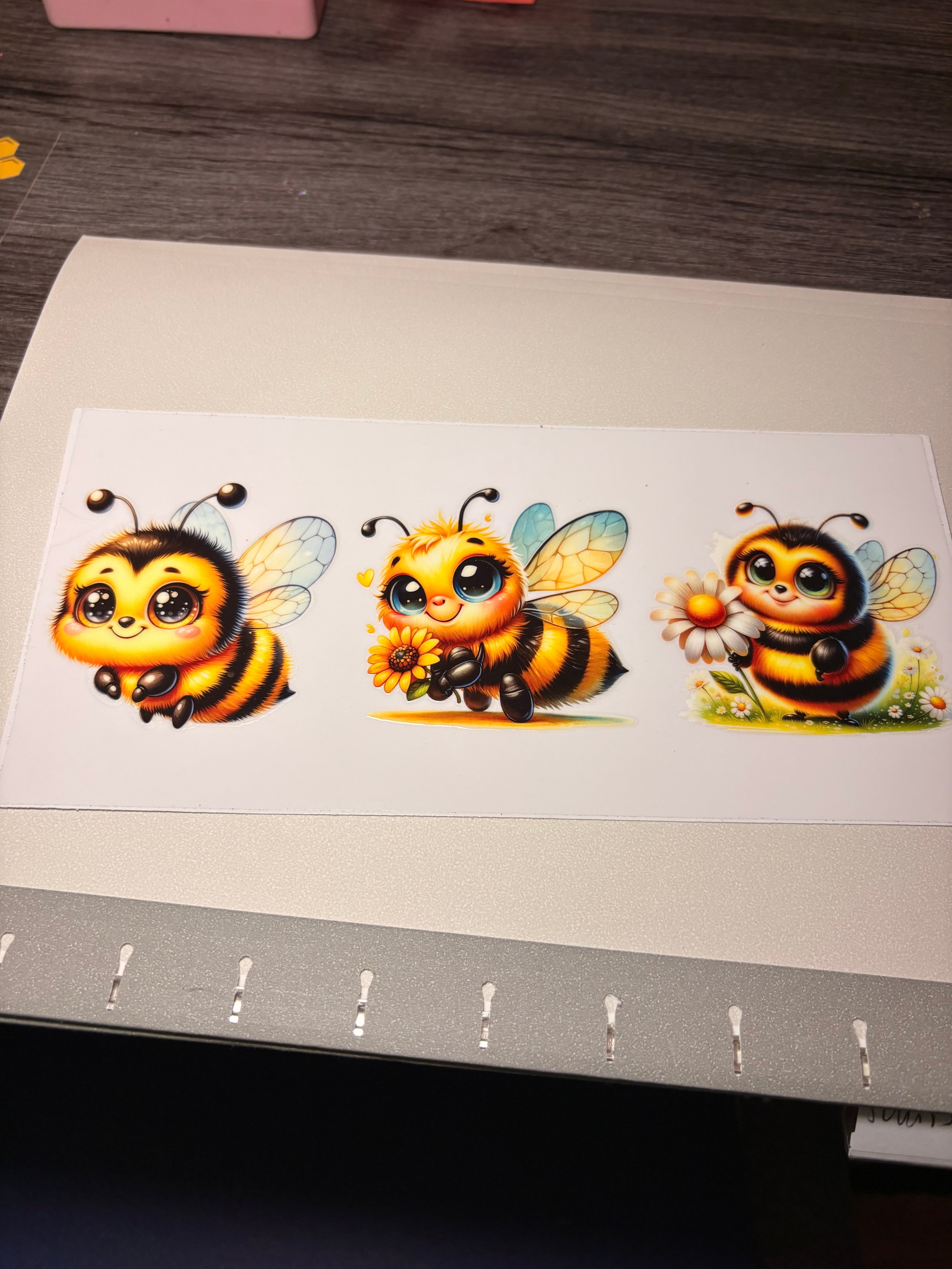 🐮🐷🐸🦋🕷️🪼wraps